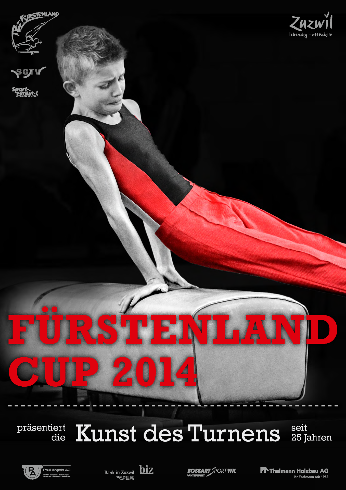 Video-Zusammenschnitt Fürstenland Cup 2014